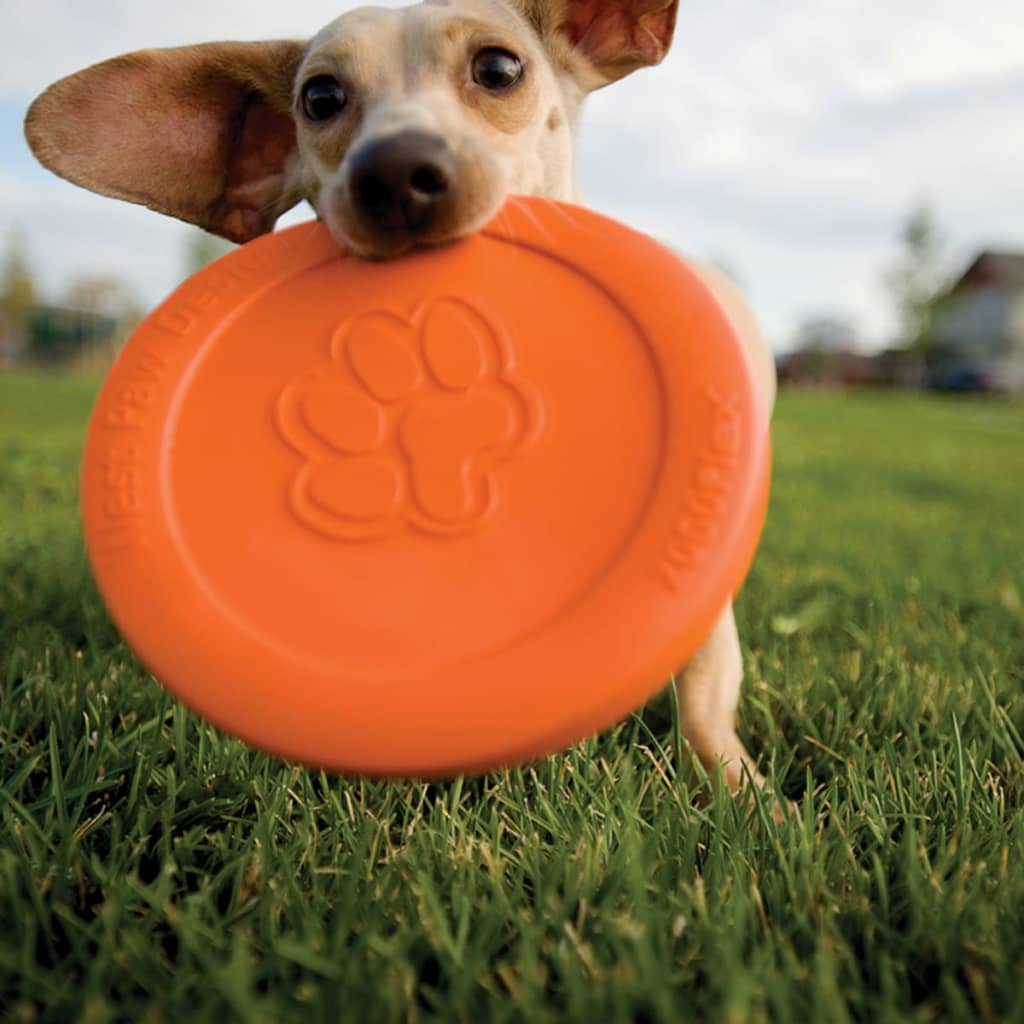 Zogoflex Hundefrisbee Zisc størrelse L oransje 1937